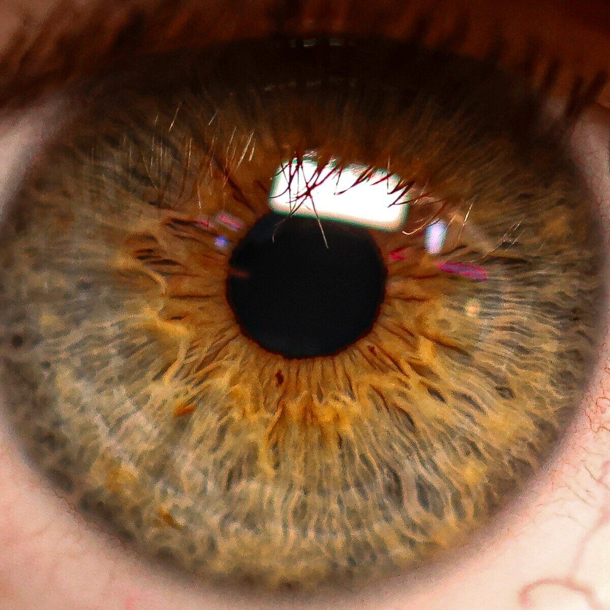 A macro photograph of a hazel eye, the iris fibres and pupil in sharp detail.